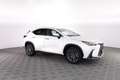 Lexus NX 300h Hybrid Premium Bianco - thumbnail 2