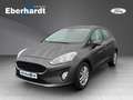 Ford Fiesta Family Grau - thumbnail 1