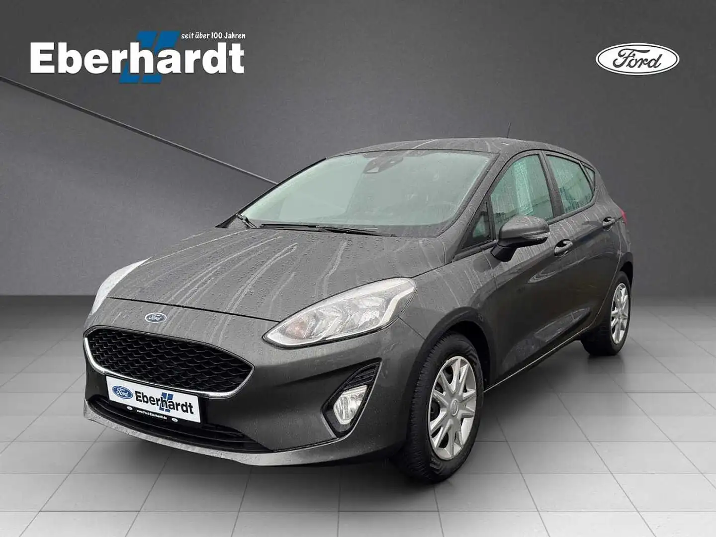 Ford Fiesta Family Grau - 1