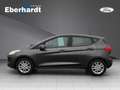 Ford Fiesta Family Grau - thumbnail 2