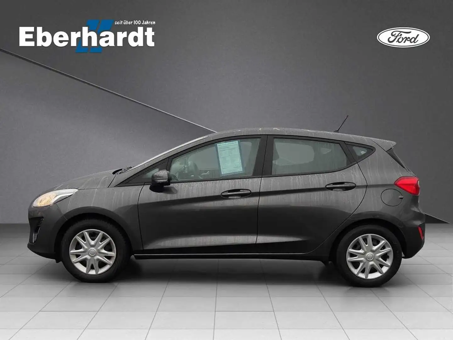 Ford Fiesta Family Grau - 2