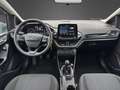Ford Fiesta Family Grau - thumbnail 5