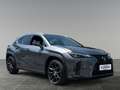 Lexus UX 250h F-Sport 4x4 Luxury und Premium Paket 8fach bereif Schwarz - thumbnail 7