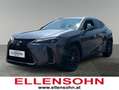 Lexus UX 250h F-Sport 4x4 Luxury und Premium Paket 8fach bereif Schwarz - thumbnail 1