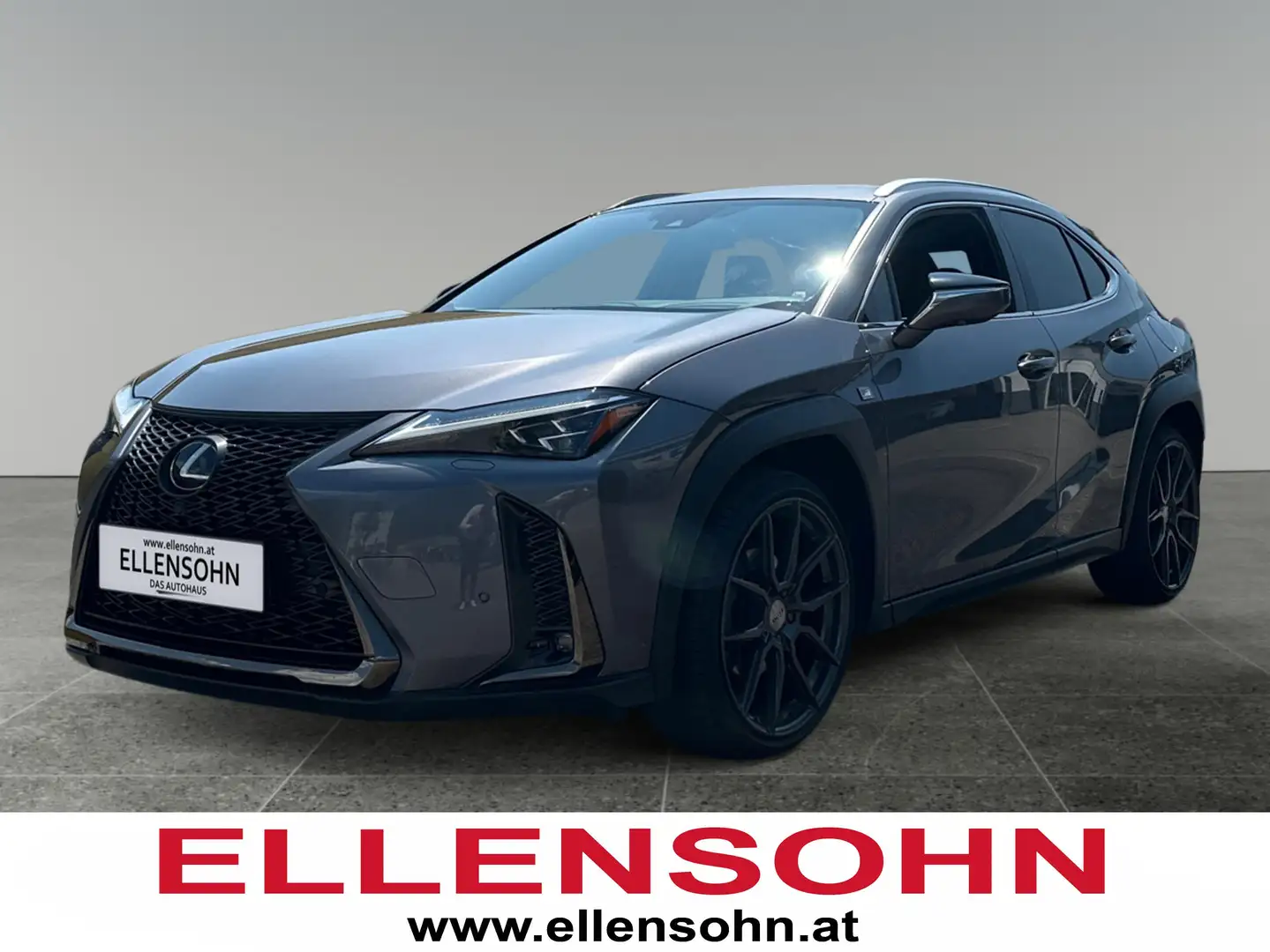 Lexus UX 250h F-Sport 4x4 Luxury und Premium Paket 8fach bereif Schwarz - 1