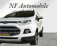 Ford EcoSport Titanium* St. Kette NEU* Sitzheizung* Tempomat* bijela - thumbnail 2