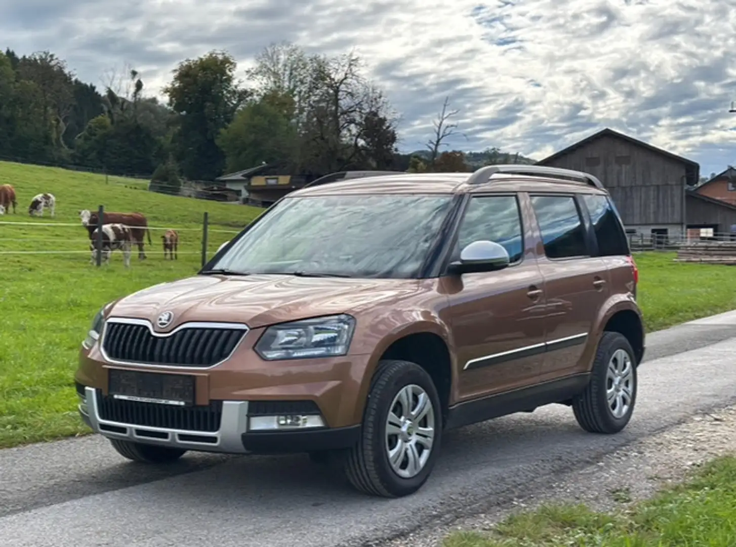 Skoda Yeti Ambition 1,2 TSI Klima*Parksensoren*Service gepfl Bronze - 1