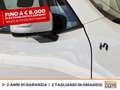 Jeep Renegade 1.5 turbo t4 mhev limited 2wd 130cv dct Bianco - thumbnail 16