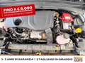 Jeep Renegade 1.5 turbo t4 mhev limited 2wd 130cv dct Bianco - thumbnail 13
