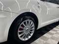 Alfa Romeo MiTo MiTo 2017 1.4 Distinctive 78cv E6 Bianco - thumbnail 7