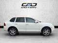 Porsche Cayenne Cayenne Turbo 4.5i V8 - 450 - BVA Tiptronic Blanc - thumbnail 8