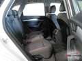 Audi Q5 55 TFSI e quattro S-LINE LED NAVI KAMERA ACC White - thumbnail 7