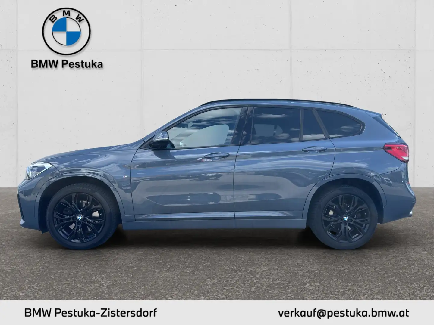 BMW X1 X1 xDrive25d Gris - 2