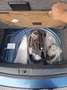 Volkswagen Polo Comfortline BMT/Start-Stopp Blau - thumbnail 18