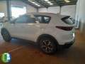 Kia Sportage 1.6 MHEV BUSINESS DCT 136CV 4X2 HIBRIDO Blanc - thumbnail 5