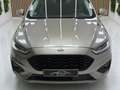 Ford Mondeo Sedán 2.0 HEV ST-Line Braun - thumbnail 4