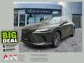 Lexus RX 450h + E-FOUR Executive Line AHK*Pano*HUD*Navi Grün - thumbnail 1