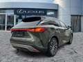 Lexus RX 450h + E-FOUR Executive Line AHK*Pano*HUD*Navi Grün - thumbnail 6