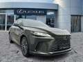Lexus RX 450h + E-FOUR Executive Line AHK*Pano*HUD*Navi Grün - thumbnail 7