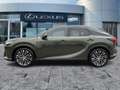 Lexus RX 450h + E-FOUR Executive Line AHK*Pano*HUD*Navi Grün - thumbnail 3