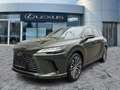 Lexus RX 450h + E-FOUR Executive Line AHK*Pano*HUD*Navi Grün - thumbnail 2