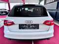 Audi A4 Avant 3x S line Pano B&O ACC AHK Kamera quatt Weiß - thumbnail 8