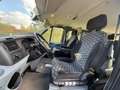Ford Transit Bus EUROLINE / NUGGET/7 SITZER + BETT + STANDHEIZUNG Grau - thumbnail 4