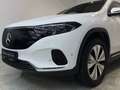 Mercedes-Benz EQA 250 Progressive Winter-Paket Panorama Kamera Blanc - thumbnail 7