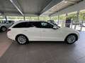 Mercedes-Benz C 220 d T 2x Avantgarde AHK+Advanced+Artico+Info Weiß - thumbnail 12