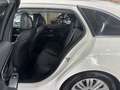 Mercedes-Benz C 220 d T 2x Avantgarde AHK+Advanced+Artico+Info Weiß - thumbnail 19