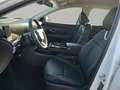 Hyundai TUCSON 1.6 T-GDi HEV 4WD Prime 215 PS Weiß - thumbnail 12