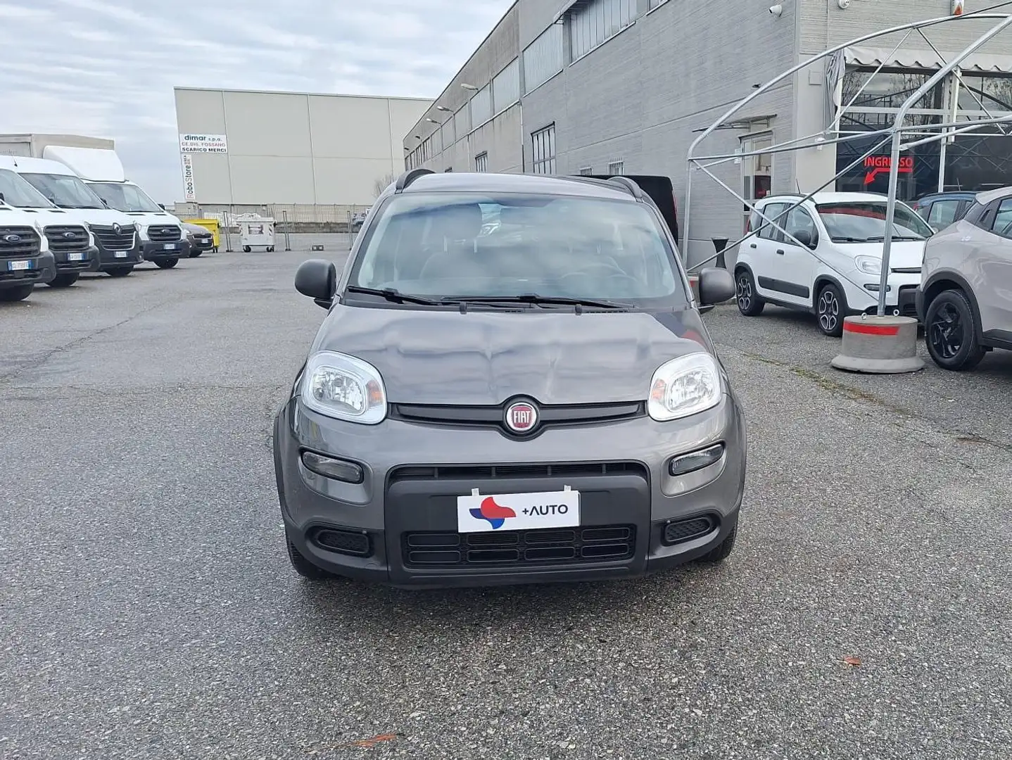 Fiat Panda Panda III 2021 1.0 firefly hybrid City Life Grigio - 2