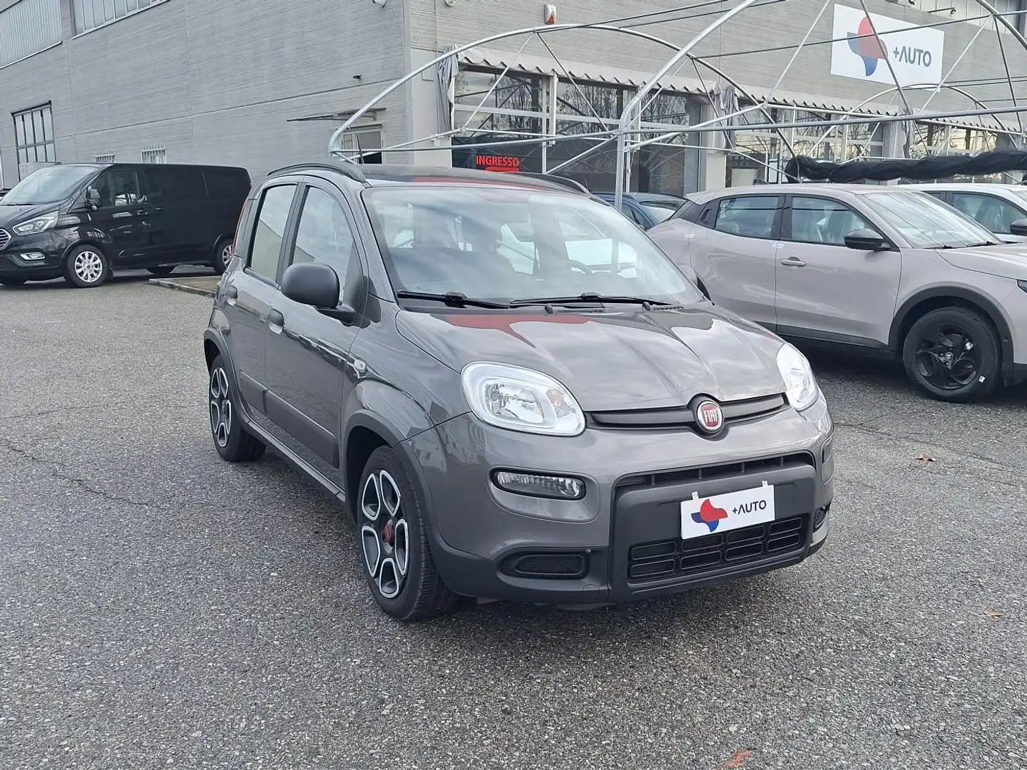 Fiat Panda Panda III 2021 1.0 firefly hybrid City Life Grigio - 1