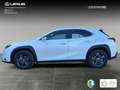 Lexus UX 250h 2.0 Premium Bianco - thumbnail 3