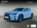 Lexus UX 250h 2.0 Premium Bianco - thumbnail 1