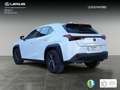 Lexus UX 250h 2.0 Premium Bianco - thumbnail 2