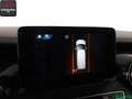 Mercedes-Benz V 250 V 250 d EDITION LANG 8 SITZE KAMERA,PARKLENK,AHK Gri - thumbnail 19
