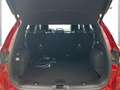Ford Kuga PHEV St-Line DAB Klima PDC Rojo - thumbnail 7