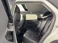Land Rover Range Rover Evoque 2.0D I4 MHEV R-Dynamic SE AWD Aut. 163 Blanco - thumbnail 33
