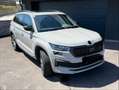 Skoda Kodiaq Kodiaq 2,0 TDI SCR 4x4 Sportline DSG Sportline Grau - thumbnail 1