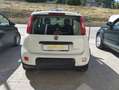 Fiat Panda Panda 1.0 firefly hybrid City Life s Blanco - thumbnail 18