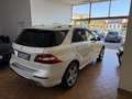 Mercedes-Benz ML 350 bt Premium c/xeno 4matic auto PACK OFFROAD !!! Bianco - thumbnail 6