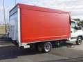 Iveco Daily 35C12 CENTINATO Con PEDANA Sponda idraulica Bianco - thumbnail 2