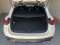 Mercedes-Benz GLC 220 d 4Matic Mild Hybrid AMG Line Premium Plus Blanco - thumbnail 34