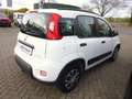 Fiat New Panda City Life Hybrid Weiß - thumbnail 5
