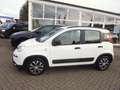 Fiat New Panda City Life Hybrid Weiß - thumbnail 1