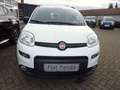 Fiat New Panda City Life Hybrid Weiß - thumbnail 3
