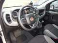 Fiat New Panda City Life Hybrid Weiß - thumbnail 18