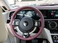 Rolls-Royce Spectre #Provenance Negro - thumbnail 17