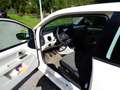 Volkswagen up! Up 1,0 sky up! sky up! Weiß - thumbnail 6